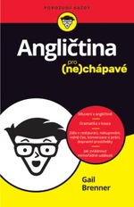 Angličtina pro nechápavé Gail Brenner - Gail Brenner