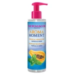 DERMACOL Papája a máta Aroma Moment Tekuté mýdlo na ruce 250 ml