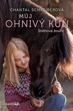 Můj ohnivý kůň 2 – Sněhová bouře - Chantal Schreiberová