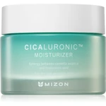 Mizon Cicaluronic™ vyživující hydratační krém pro velmi suchou a citlivou pleť 50 ml