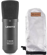 Lewitz C100USB SET USB mikrofon