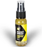 Feeder expert boost spray 30 ml - butyric ananas