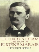 The Dark Stream