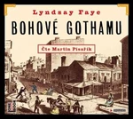 Bohové Gothamu - Lyndsay Fayeová, Martin Písařík - audiokniha