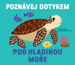 Poznávej dotykem - Pod hladinou moře Stéphanie Babin, ilustrace Nathalie Choux - Nathalie Choux, Stephanie Babin