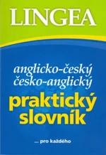 Anglicko-český, česko-anglický praktický slovník