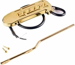 DeArmond Rhythm Chief 1100 Gold Doză pentru chitară acustică