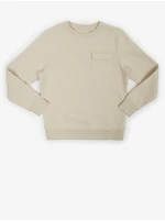 Beige Boys' Sweatshirt with Tom Tailor Pocket - Boys