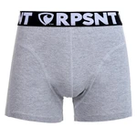 Men's boxers Represent Sport grey