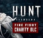 Hunt: Showdown 1896 - Fire Fight DLC EU v2 PC Steam Altergift