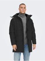 Black men's quilted winter coat ONLY & SONS Carl - Men's