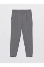 LC Waikiki Standard Fit Men's Trousers