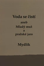 Voda se čistí aneb Mladý muž a pražské jaro - Miroslav Krůta