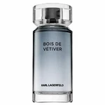 Lagerfeld Bois de Vétiver toaletná voda pre mužov 100 ml