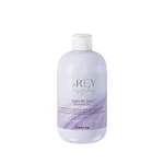 Inebrya Šampon neutralizující žluté tóny šedých a platinových vlasů Grey By Day (Shampoo) 300 ml