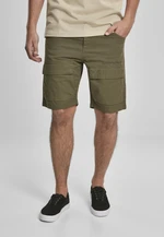 Performance Cargo Shorts summerolive