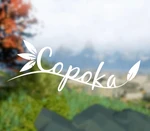 Copoka EU PC Steam CD Key