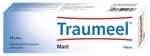 TRAUMEEL S Heel mast 50 g