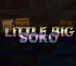 LittleBigSoko Steam CD Key