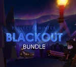 Project Winter: Blackout Bundle Steam CD Key