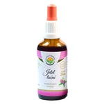 SALVIA PARADISE Jetel luční AF tinktura 50 ml