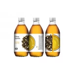 China Jasmin - Cold Brew Green Tea 330 ml