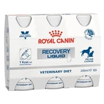 ROYAL CANIN Recovery Liquid tekutý nápoj pro psy a kočky 3 x 200 ml