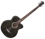 Michael Kelly Dragonfly 5 Smoke Burst Bas acustic