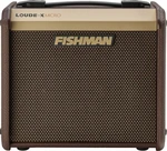 Fishman Loudbox Micro Combo do gitar elektroakustycznych