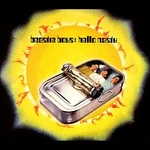 Beastie Boys – Hello Nasty