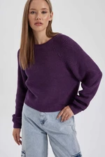 DEFACTO Regular Fit Crew Neck Knitwear Pullover