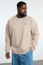 Trendyol Beige Crew Neck Oversize/Wide Cut Plus Size Sweatshirt with Fleece Inside