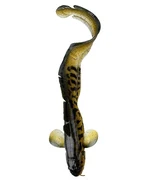 Savage gear gumová nástraha 3d burbot-25 cm 75 g