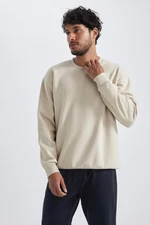 DEFACTO Oversize Fit Crew Neck Basic Sweatshirt