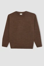 DEFACTO Boy Brown Crew Neck Basic Plain Knitwear Sweater