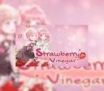 Strawberry Vinegar EU (without DE/NL/PL/AT) Nintendo Switch CD Key