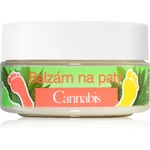 Bione Cosmetics Cannabis balzám na paty 150 ml