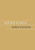 Kéž bys tu byla - Bořek Slezáček