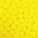 Barva Pébéo Fantasy Prisme 45ml – 60 Fluorescent yellow