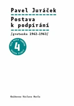 Postava k podpírání - Pavel Hájek, Pavel Juráček