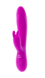 Healthy life Vibrator Rechargeable purple 0602571005