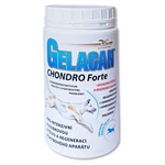 GELACAN Chondro forte 500 g