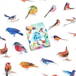 46 Pcs Kawaii Birds Stickers For Kids Scrapbook Stickers Decor Supplies For Journaling Envelopes Planner Laptop Scrapbook Album