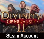 Divinity: Original Sin 2 Steam Account