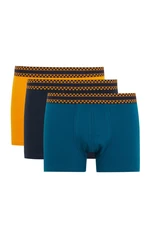 DEFACTO Regular Fit 3-Piece Boxer