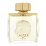 Lalique Pour Homme Equus parfémovaná voda pre mužov 75 ml