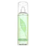 Elizabeth Arden Green Tea tělový spray pro ženy 236 ml