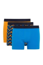 DEFACTO Regular Fit 3-Piece Boxer