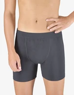 Men's boxers Gino gray