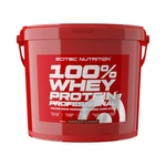 Scitec Nutrition 100% Whey Protein Professional 5000g - čokoláda, lískový oříšek